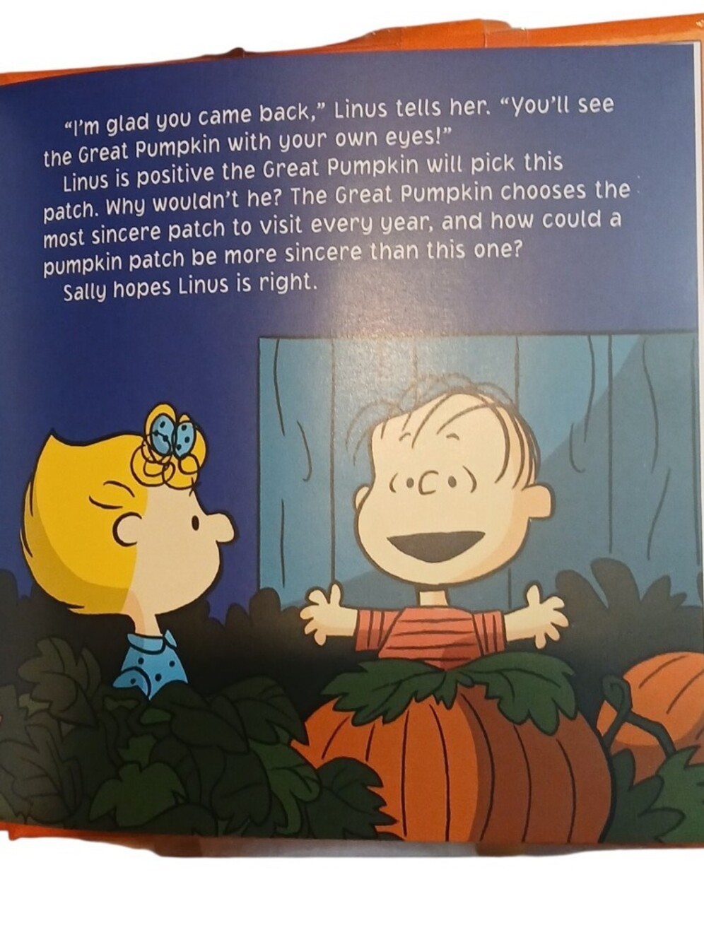 Peanuts -Plush Snoopy With Halloween Tee shirt & 25 Page, The Great Pumpkin book - Picture 7 of 10